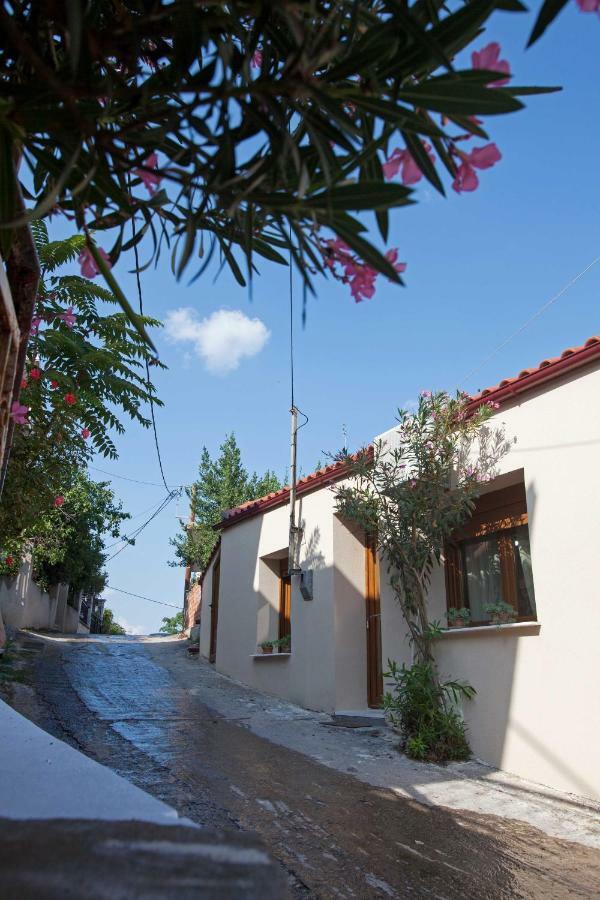 فيلا Antoni'S House Makri أليكسانثيربوليس المظهر الخارجي الصورة