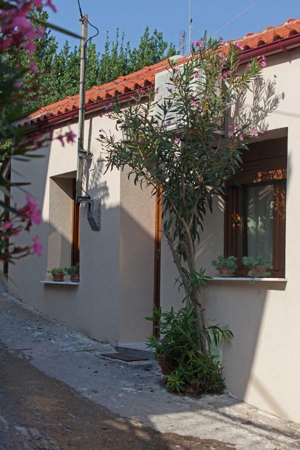 فيلا Antoni'S House Makri أليكسانثيربوليس المظهر الخارجي الصورة